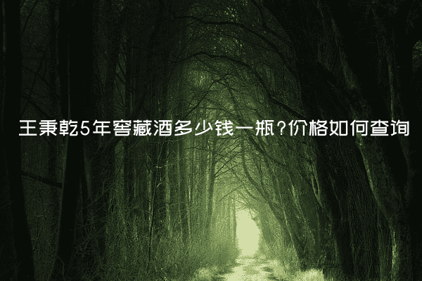 王秉乾5年窖藏酒多少钱一瓶?价格如何查询