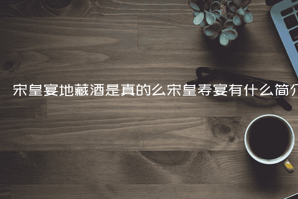 宋皇宴地藏酒是真的么宋皇寿宴有什么简介