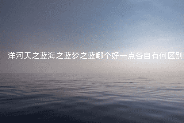 洋河天之蓝海之蓝梦之蓝哪个好一点各自有何区别