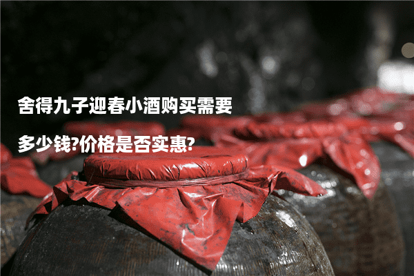 舍得九子迎春小酒购买需要多少钱?价格是否实惠?