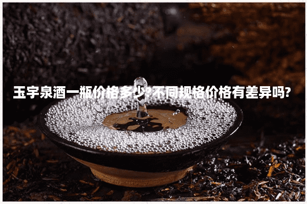 玉宇泉酒一瓶价格多少?不同规格价格有差异吗?