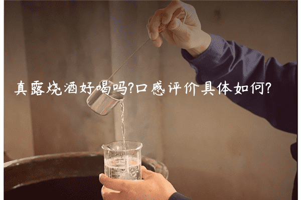 真露烧酒好喝吗?口感评价具体如何?