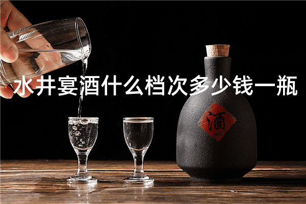 水井宴酒什么档次多少钱一瓶