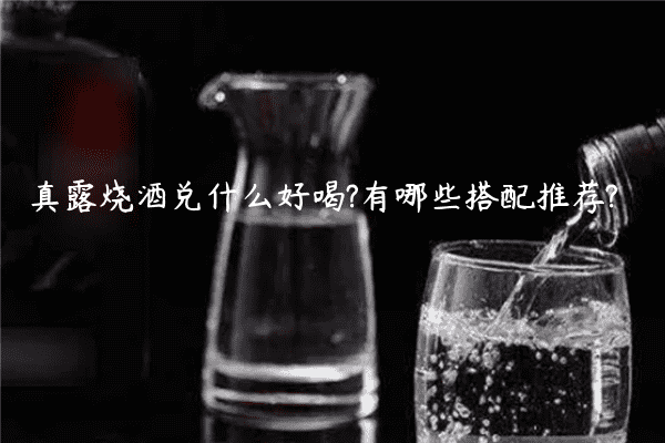 真露烧酒兑什么好喝?有哪些搭配推荐?