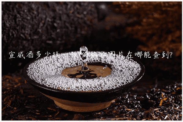 宣威酒多少钱一瓶?价格和图片在哪能查到?