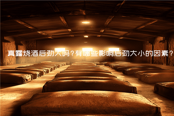真露烧酒后劲大吗?有哪些影响后劲大小的因素?