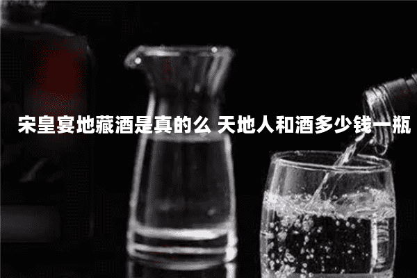 宋皇宴地藏酒是真的么 天地人和酒多少钱一瓶