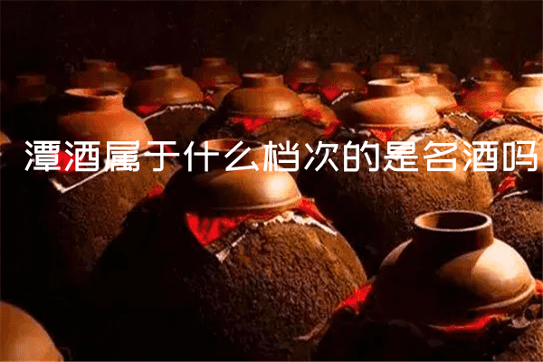 潭酒属于什么档次的是名酒吗