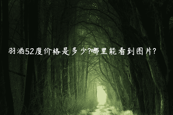 羽酒52度价格是多少?哪里能看到图片?