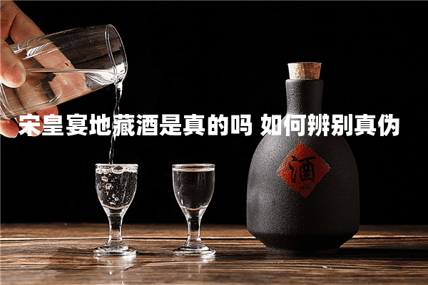 宋皇宴地藏酒是真的吗 如何辨别真伪