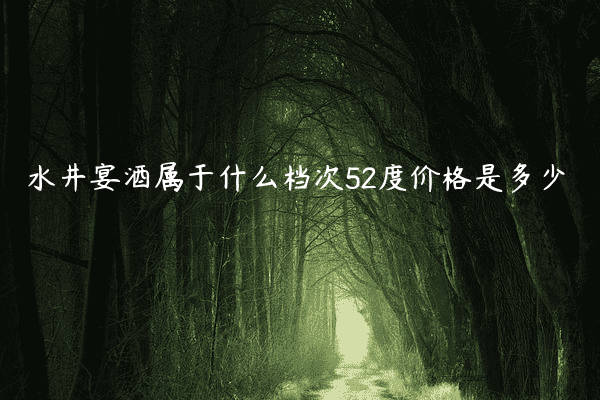 水井宴酒属于什么档次52度价格是多少