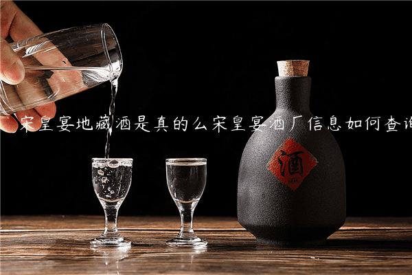 宋皇宴地藏酒是真的么宋皇宴酒厂信息如何查询