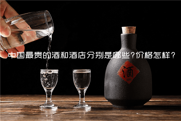 中国最贵的酒和酒店分别是哪些?价格怎样?