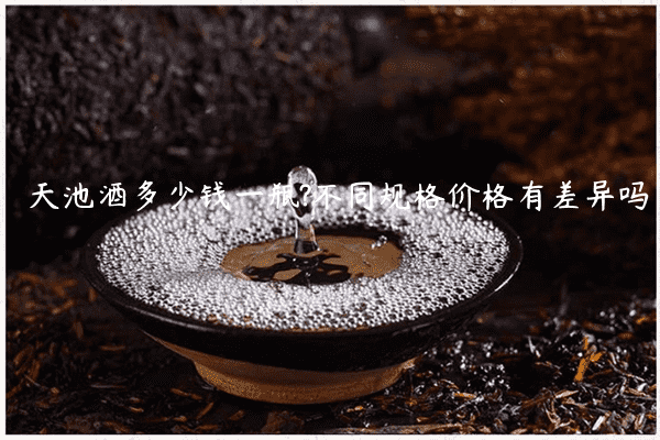 天池酒多少钱一瓶?不同规格价格有差异吗