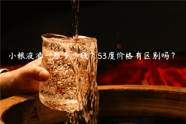 小粮液酒一瓶多少钱？53度价格有区别吗？
