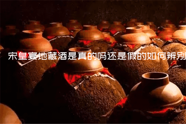 宋皇宴地藏酒是真的吗还是假的如何辨别