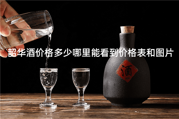 韶华酒价格多少哪里能看到价格表和图片