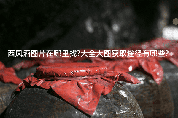 西凤酒图片在哪里找?大全大图获取途径有哪些?