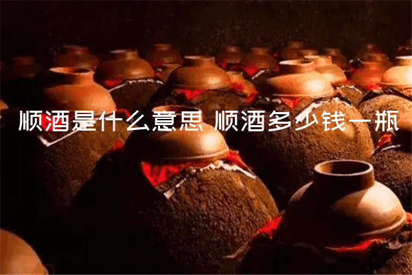 顺酒是什么意思 顺酒多少钱一瓶