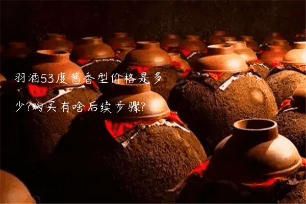 羽酒53度酱香型价格是多少?购买有啥后续步骤?