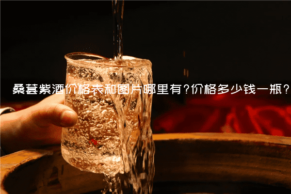 桑葚紫酒价格表和图片哪里有?价格多少钱一瓶?