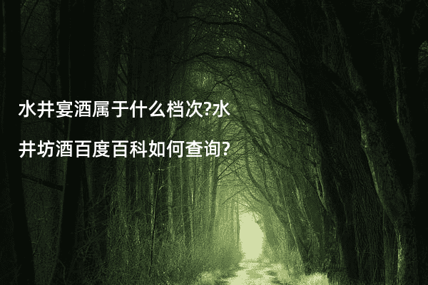 水井宴酒属于什么档次?水井坊酒百度百科如何查询?