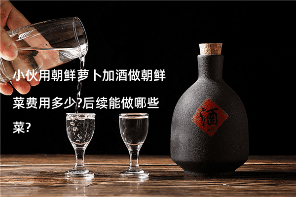 小伙用朝鲜萝卜加酒做朝鲜菜费用多少?后续能做哪些菜?
