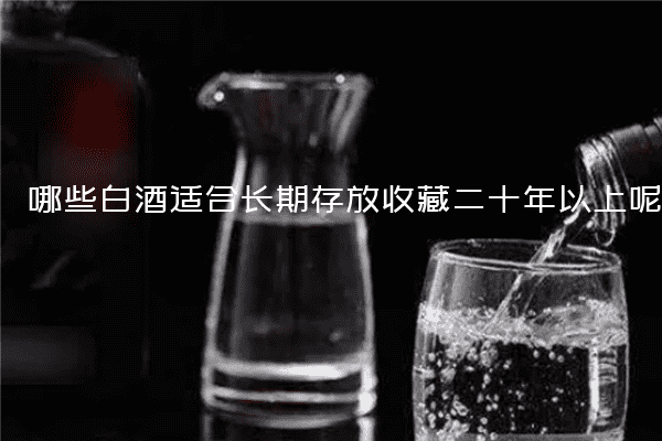 哪些白酒适合长期存放收藏二十年以上呢