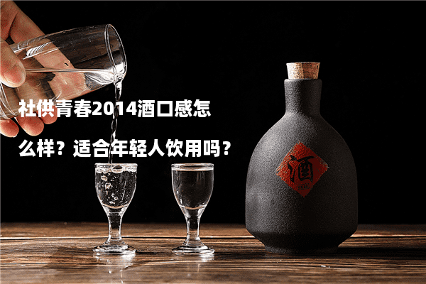 社供青春2014酒口感怎么样？适合年轻人饮用吗？