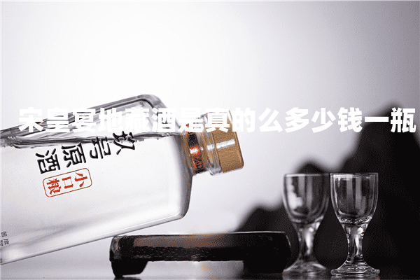 宋皇宴地藏酒是真的么多少钱一瓶