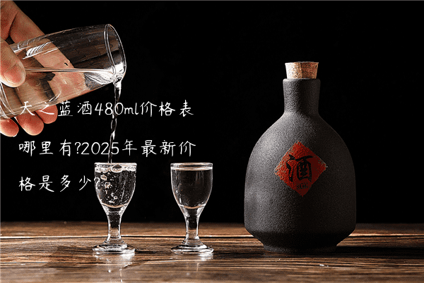 天之蓝酒480ml价格表哪里有?2025年最新价格是多少?