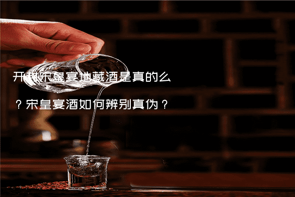 开封宋皇宴地藏酒是真的么？宋皇宴酒如何辨别真伪？