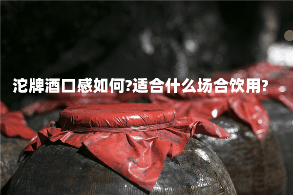 沱牌酒口感如何?适合什么场合饮用?