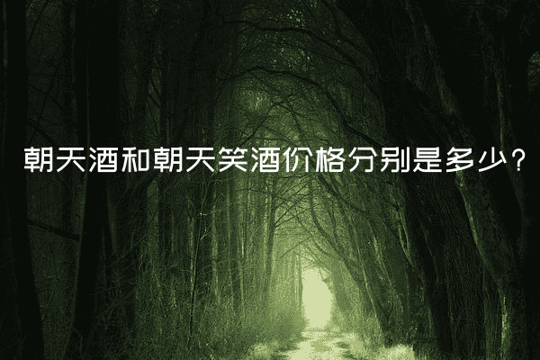 朝天酒和朝天笑酒价格分别是多少?