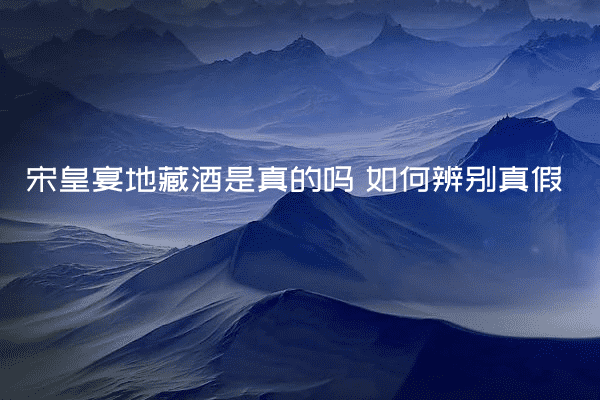 宋皇宴地藏酒是真的吗 如何辨别真假