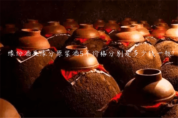 缘份酒及缘分原浆酒5年价格分别是多少钱一瓶?